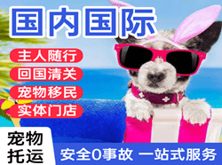 达州金垭机场快递国际宠物托运 【国